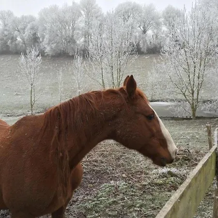 Σπίτι διακοπών De La Roseraie *