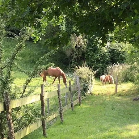 De La Roseraie Casa de Férias Ceton
