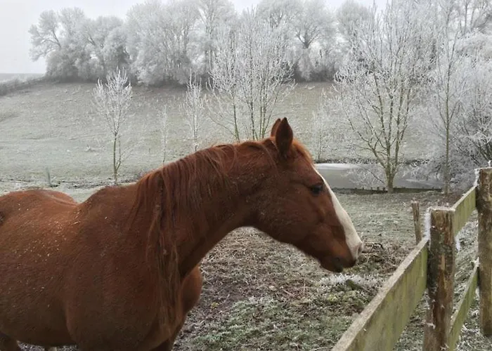 Casa vacanze De La Roseraie *