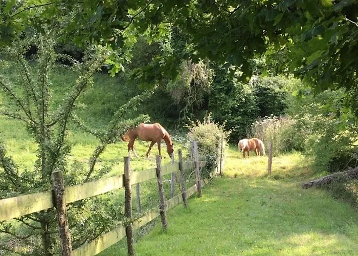 De La Roseraie 펜션 Ceton